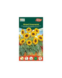 EG Sunflower Seeds