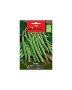 Green Bean - Seeds