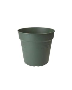 EL Green basics growpot