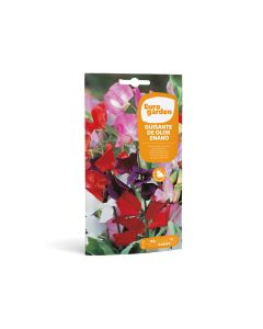EG Sweet Peas Tall Mix