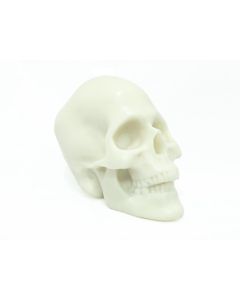 Halloween Plastic Skull White 76529
