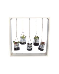 Plant Arrangements in Glass With Lid H 31 cm