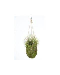 KZ Hanging Pot  Round - H30cm