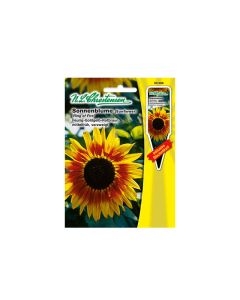 Sunflower "Ring of Fire" seeds