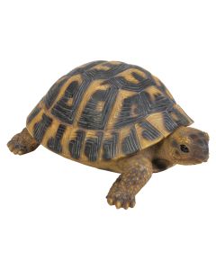 Hermann Tortoise Resin Ornament