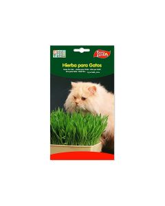 Grass Seeds for Cats 15g - Hierba Para Gatos Seeds