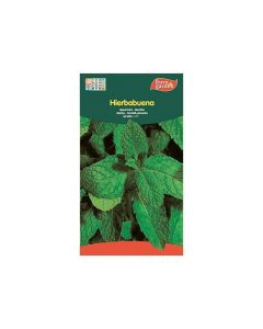Pepper Mint Seeds