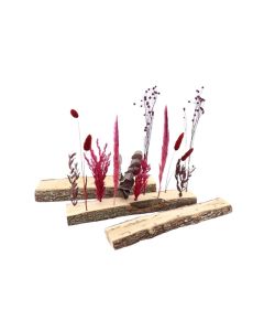HX Base Oak 11 Dried Flowers