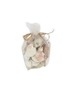 HX Deco Beach Shells - Natural