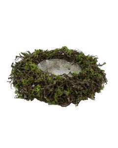 HX Plant Bonsai Mossed Natural Round