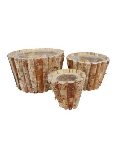 HX Plant Shingle Brich Planter Large Natural