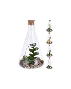 KI Plant in Glass - 4 assorted