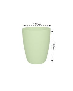 Brussels orchid high - Soft Green Pot