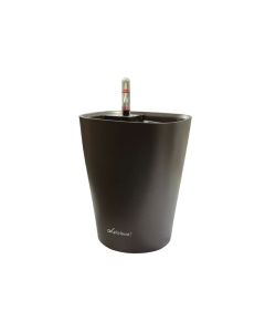 Self watering pot