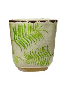 Ceramic Yall fern square pot