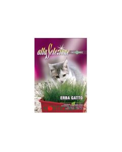 Erba Gatto - Catgrass Seeds
