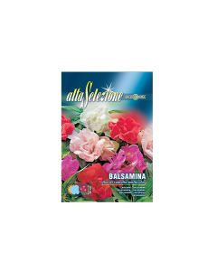 Balsamina "Balsamine Seeds"