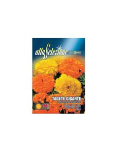 Tagete Gigante "Marigold Seeds"