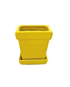 Ceramic Pot with Saucer Mix - Green