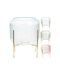 Glass Vase on Golden Feet - Planter