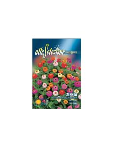 Zinnia Seeds - Nana Thumbelina Multicolor