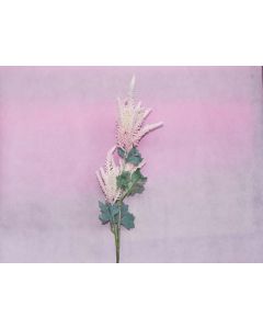 Artificial Flower - Salvia - Baby Pink