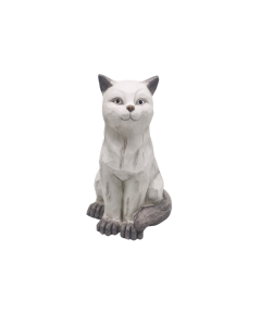 QY Fibre Clay Cat