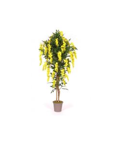 VV Artificial Gilicine Wisteria Medium Yellow
