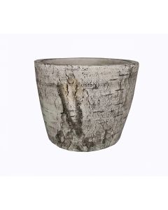 QY Cement Pot with Bark Finish