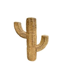 Cactus Decoration Natural