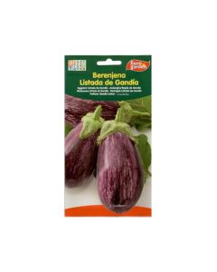 EG Eggplant Seeds