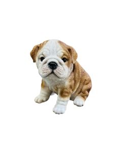 VI PP Bulldog Puppy Decor