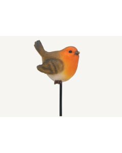 VI Robin Bird Plant Pal