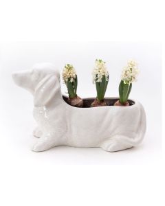 Portapiante Bassotto - Ceramic Dog Planter White