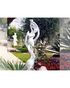 IP Dancing Venus