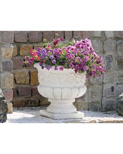 IP Vase Tea