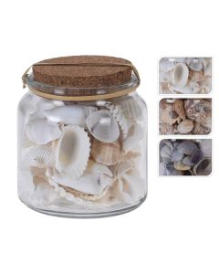 KI Deco Shells in Glass Pot assorted size: 10*10cm