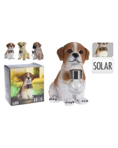 KI Dog With Solar Ball Assorted