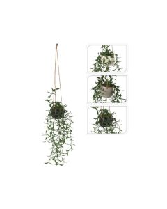 KI Hanging Plant in Ceramic Pot