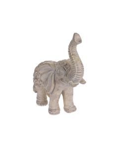 KI MGO Elephant