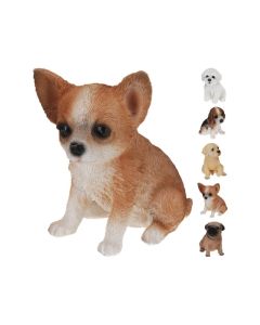KI Polystone Dog Assorted