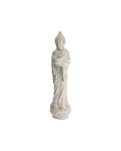 KI Standing Buddha Champagne