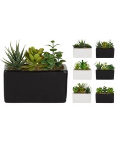 KI Artificial Plant in Ceramic Pot 6 Assorted