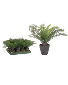 KI Artificial Palm Tree In Black Pot 30cm