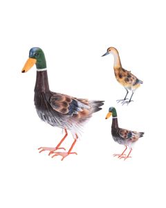 KI Duck Metal 2 Assorted