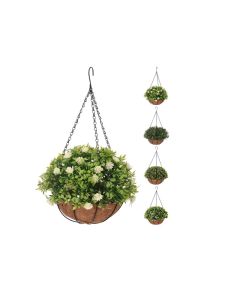 KI Plant in Natural Round Pot 50cm
