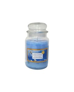 Large Jar Cotton Flowers 100H