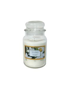 Large Jar Jasmine 100H