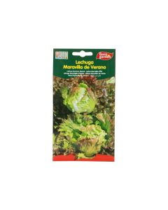 EG Lettuce Seeds