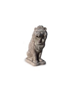 Sitting Lion
